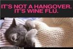 Wine Flu
