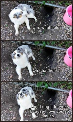 Hole.jpg